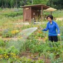 양천축산 이미지