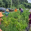 도평 지역아동센터 이미지
