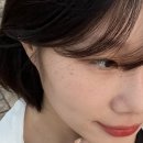 호다실 이미지