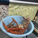 청정대게;회 | [ 영덕 소노벨 파나크 근처 가성비 대게 맛집추천 ] 현지 대게맛집 대성공 내돈내산 후기