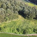 횡성군공근보건지소 이미지