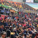 청도소싸움축제 대경일보