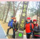 대공원입구로 Daum카페