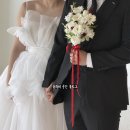 3291 | 26년 창원 결혼준비, 부산 송정 '고스튜디오' 촬영 후기 릴리, 드로잉컨셉 (정대작가님, 펜션씬)