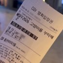 고양이를부탁해 | [영화] MSFF 2026 고양이를 부탁해 2 후기