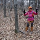 선기농장 | 백두대간(우듬지) 1구간(돌고지재-구영고개) 종주산행