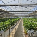 해동농장 이미지