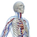 건양대학교병원 이미지