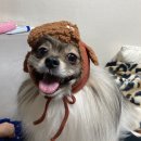 지디파크 이미지