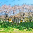 J4545 네이버블로그