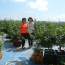 점촌농장 이미지