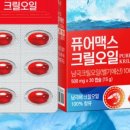 홀리브