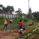 사창농장 이미지