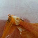 미니스톱 송내점 이미지