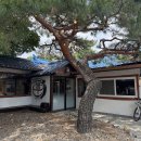 중원-100 | [청주 문화동 맛집] 원조중원탑막국수 충북도청점! 한 달에 2~3번은 가는 내돈내산 후기!