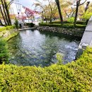 연못 이미지