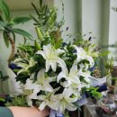 수원성균관대역동문디이스트(아) 이미지