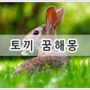 토끼토기