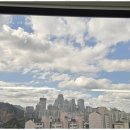 등대 행정사사무소 이미지