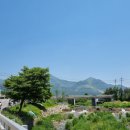 백현다리길 이미지