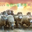 뉴랜드 파워