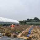 아이와농장 이미지