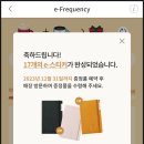 데일리에스프레소 이미지