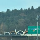 음악이흐르는숲 이미지