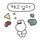 차클라이밍