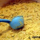 순희네집 빈대떡 이미지