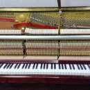 삼익농원 이미지