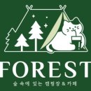 포레스트 캠핑장 이미지