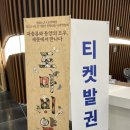 드레곤체육관 | 세종 첫 파충류 박람회, 도마배얌 솔직후기