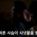 내영 이미지