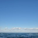 영진유통 | 강릉치아바타 맛집 [빵을쇼핑하다빵명가치아바타 CIABATTA] 강릉빵지순례, 강릉영진해변베이커리카페!