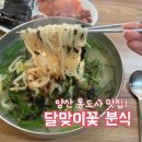 달맞이꽃분식 주차, 웨이팅 (양산 통도사 맛집)