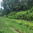 백천농장 이미지