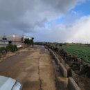 제주스타공인중개사사무소 이미지