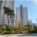 아이보람세종센터 이미지