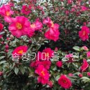 선녀와 나뭇꾼 네이버블로그