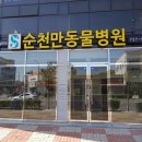 호수동물병원 이미지