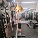 피트니스131 이미지