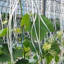 금현농장 이미지