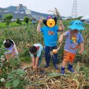 각골농장 이미지