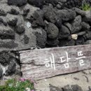 해담뜰 민박 | 제주 애월읍 펜션 위치는 곽지해수욕장 근처~ 해담뜰 시설 굿~