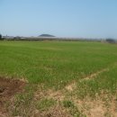 동일리-4 이미지