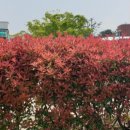 이호한의원 이미지