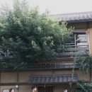 예림상회