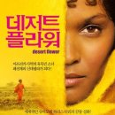 데저트 플라워 (Desert Flower) 2010/4월 개봉작 이미지