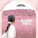 숲해설가와 떠나는 가을 숲 나들이 - 금정산 숲길 탐방 | 핑크빛 물결 가득 가을여행, 경남 창원 합천 부산 핑크뮬리 명소 zip